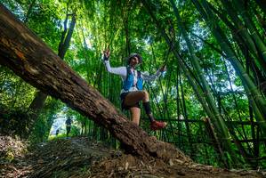 BIB: 
                            <button type="button" onclick="openModal(19001116)" class="btn btn-primary btn-sm float-right btn-popup" data-toggle="modal" data-target=".modal-high-quality">
                        <i class="fas fa-shopping-cart"></i> Add to Cart
                    </button>
                                            <button type="button" onclick="isThisMe(19001116, true)" class="btn btn-success btn-sm float-right btn-popup btn-isme hidden" data-toggle="tooltip" data-placement="bottom" title="นี่คือรูปของคุณใช่ไหม คลิกที่นี่เพื่อเอาเข้าอัลบั้ม">
                        <i class="fas fa-plus"></i> Add to album
                    </button>
                    <button type="button" onclick="isThisMe(19001116, false)" class="btn btn-warning btn-sm float-right btn-popup btn-isnotme hidden">
                        <i class="fas fa-ban"></i> Remove from album
                    </button>