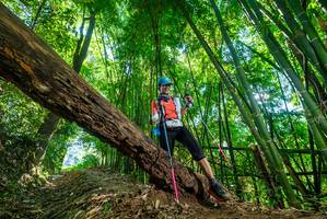 BIB: 
                            <button type="button" onclick="openModal(19070378)" class="btn btn-primary btn-sm float-right btn-popup" data-toggle="modal" data-target=".modal-high-quality">
                        <i class="fas fa-shopping-cart"></i> Add to Cart
                    </button>
                                            <button type="button" onclick="isThisMe(19070378, true)" class="btn btn-success btn-sm float-right btn-popup btn-isme hidden" data-toggle="tooltip" data-placement="bottom" title="นี่คือรูปของคุณใช่ไหม คลิกที่นี่เพื่อเอาเข้าอัลบั้ม">
                        <i class="fas fa-plus"></i> Add to album
                    </button>
                    <button type="button" onclick="isThisMe(19070378, false)" class="btn btn-warning btn-sm float-right btn-popup btn-isnotme hidden">
                        <i class="fas fa-ban"></i> Remove from album
                    </button>