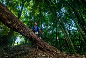 BIB: 
                            <button type="button" onclick="openModal(18994935)" class="btn btn-primary btn-sm float-right btn-popup" data-toggle="modal" data-target=".modal-high-quality">
                        <i class="fas fa-shopping-cart"></i> Add to Cart
                    </button>
                                            <button type="button" onclick="isThisMe(18994935, true)" class="btn btn-success btn-sm float-right btn-popup btn-isme hidden" data-toggle="tooltip" data-placement="bottom" title="นี่คือรูปของคุณใช่ไหม คลิกที่นี่เพื่อเอาเข้าอัลบั้ม">
                        <i class="fas fa-plus"></i> Add to album
                    </button>
                    <button type="button" onclick="isThisMe(18994935, false)" class="btn btn-warning btn-sm float-right btn-popup btn-isnotme hidden">
                        <i class="fas fa-ban"></i> Remove from album
                    </button>