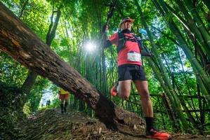 BIB: 
                            <button type="button" onclick="openModal(19057067)" class="btn btn-primary btn-sm float-right btn-popup" data-toggle="modal" data-target=".modal-high-quality">
                        <i class="fas fa-shopping-cart"></i> Add to Cart
                    </button>
                                            <button type="button" onclick="isThisMe(19057067, true)" class="btn btn-success btn-sm float-right btn-popup btn-isme hidden" data-toggle="tooltip" data-placement="bottom" title="นี่คือรูปของคุณใช่ไหม คลิกที่นี่เพื่อเอาเข้าอัลบั้ม">
                        <i class="fas fa-plus"></i> Add to album
                    </button>
                    <button type="button" onclick="isThisMe(19057067, false)" class="btn btn-warning btn-sm float-right btn-popup btn-isnotme hidden">
                        <i class="fas fa-ban"></i> Remove from album
                    </button>