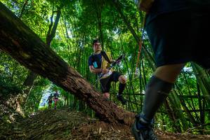 BIB: 
                            <button type="button" onclick="openModal(19066831)" class="btn btn-primary btn-sm float-right btn-popup" data-toggle="modal" data-target=".modal-high-quality">
                        <i class="fas fa-shopping-cart"></i> Add to Cart
                    </button>
                                            <button type="button" onclick="isThisMe(19066831, true)" class="btn btn-success btn-sm float-right btn-popup btn-isme hidden" data-toggle="tooltip" data-placement="bottom" title="นี่คือรูปของคุณใช่ไหม คลิกที่นี่เพื่อเอาเข้าอัลบั้ม">
                        <i class="fas fa-plus"></i> Add to album
                    </button>
                    <button type="button" onclick="isThisMe(19066831, false)" class="btn btn-warning btn-sm float-right btn-popup btn-isnotme hidden">
                        <i class="fas fa-ban"></i> Remove from album
                    </button>