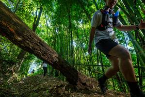 BIB: 
                            <button type="button" onclick="openModal(19068861)" class="btn btn-primary btn-sm float-right btn-popup" data-toggle="modal" data-target=".modal-high-quality">
                        <i class="fas fa-shopping-cart"></i> Add to Cart
                    </button>
                                            <button type="button" onclick="isThisMe(19068861, true)" class="btn btn-success btn-sm float-right btn-popup btn-isme hidden" data-toggle="tooltip" data-placement="bottom" title="นี่คือรูปของคุณใช่ไหม คลิกที่นี่เพื่อเอาเข้าอัลบั้ม">
                        <i class="fas fa-plus"></i> Add to album
                    </button>
                    <button type="button" onclick="isThisMe(19068861, false)" class="btn btn-warning btn-sm float-right btn-popup btn-isnotme hidden">
                        <i class="fas fa-ban"></i> Remove from album
                    </button>