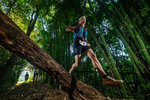 BIB: 
                            <button type="button" onclick="openModal(18987492)" class="btn btn-primary btn-sm float-right btn-popup" data-toggle="modal" data-target=".modal-high-quality">
                        <i class="fas fa-shopping-cart"></i> Add to Cart
                    </button>
                                            <button type="button" onclick="isThisMe(18987492, true)" class="btn btn-success btn-sm float-right btn-popup btn-isme hidden" data-toggle="tooltip" data-placement="bottom" title="นี่คือรูปของคุณใช่ไหม คลิกที่นี่เพื่อเอาเข้าอัลบั้ม">
                        <i class="fas fa-plus"></i> Add to album
                    </button>
                    <button type="button" onclick="isThisMe(18987492, false)" class="btn btn-warning btn-sm float-right btn-popup btn-isnotme hidden">
                        <i class="fas fa-ban"></i> Remove from album
                    </button>