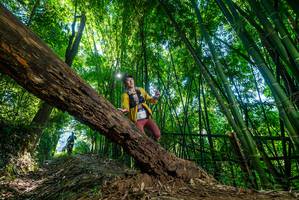 BIB: 
                            <button type="button" onclick="openModal(19002738)" class="btn btn-primary btn-sm float-right btn-popup" data-toggle="modal" data-target=".modal-high-quality">
                        <i class="fas fa-shopping-cart"></i> Add to Cart
                    </button>
                                            <button type="button" onclick="isThisMe(19002738, true)" class="btn btn-success btn-sm float-right btn-popup btn-isme hidden" data-toggle="tooltip" data-placement="bottom" title="นี่คือรูปของคุณใช่ไหม คลิกที่นี่เพื่อเอาเข้าอัลบั้ม">
                        <i class="fas fa-plus"></i> Add to album
                    </button>
                    <button type="button" onclick="isThisMe(19002738, false)" class="btn btn-warning btn-sm float-right btn-popup btn-isnotme hidden">
                        <i class="fas fa-ban"></i> Remove from album
                    </button>