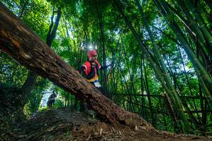 BIB: 
                            <button type="button" onclick="openModal(19056478)" class="btn btn-primary btn-sm float-right btn-popup" data-toggle="modal" data-target=".modal-high-quality">
                        <i class="fas fa-shopping-cart"></i> Add to Cart
                    </button>
                                            <button type="button" onclick="isThisMe(19056478, true)" class="btn btn-success btn-sm float-right btn-popup btn-isme hidden" data-toggle="tooltip" data-placement="bottom" title="นี่คือรูปของคุณใช่ไหม คลิกที่นี่เพื่อเอาเข้าอัลบั้ม">
                        <i class="fas fa-plus"></i> Add to album
                    </button>
                    <button type="button" onclick="isThisMe(19056478, false)" class="btn btn-warning btn-sm float-right btn-popup btn-isnotme hidden">
                        <i class="fas fa-ban"></i> Remove from album
                    </button>