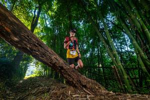 BIB: 
                            <button type="button" onclick="openModal(18987790)" class="btn btn-primary btn-sm float-right btn-popup" data-toggle="modal" data-target=".modal-high-quality">
                        <i class="fas fa-shopping-cart"></i> Add to Cart
                    </button>
                                            <button type="button" onclick="isThisMe(18987790, true)" class="btn btn-success btn-sm float-right btn-popup btn-isme hidden" data-toggle="tooltip" data-placement="bottom" title="นี่คือรูปของคุณใช่ไหม คลิกที่นี่เพื่อเอาเข้าอัลบั้ม">
                        <i class="fas fa-plus"></i> Add to album
                    </button>
                    <button type="button" onclick="isThisMe(18987790, false)" class="btn btn-warning btn-sm float-right btn-popup btn-isnotme hidden">
                        <i class="fas fa-ban"></i> Remove from album
                    </button>