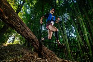 BIB: 
                            <button type="button" onclick="openModal(18986650)" class="btn btn-primary btn-sm float-right btn-popup" data-toggle="modal" data-target=".modal-high-quality">
                        <i class="fas fa-shopping-cart"></i> Add to Cart
                    </button>
                                            <button type="button" onclick="isThisMe(18986650, true)" class="btn btn-success btn-sm float-right btn-popup btn-isme hidden" data-toggle="tooltip" data-placement="bottom" title="นี่คือรูปของคุณใช่ไหม คลิกที่นี่เพื่อเอาเข้าอัลบั้ม">
                        <i class="fas fa-plus"></i> Add to album
                    </button>
                    <button type="button" onclick="isThisMe(18986650, false)" class="btn btn-warning btn-sm float-right btn-popup btn-isnotme hidden">
                        <i class="fas fa-ban"></i> Remove from album
                    </button>