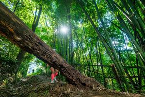 BIB: 
                            <button type="button" onclick="openModal(19063585)" class="btn btn-primary btn-sm float-right btn-popup" data-toggle="modal" data-target=".modal-high-quality">
                        <i class="fas fa-shopping-cart"></i> Add to Cart
                    </button>
                                            <button type="button" onclick="isThisMe(19063585, true)" class="btn btn-success btn-sm float-right btn-popup btn-isme hidden" data-toggle="tooltip" data-placement="bottom" title="นี่คือรูปของคุณใช่ไหม คลิกที่นี่เพื่อเอาเข้าอัลบั้ม">
                        <i class="fas fa-plus"></i> Add to album
                    </button>
                    <button type="button" onclick="isThisMe(19063585, false)" class="btn btn-warning btn-sm float-right btn-popup btn-isnotme hidden">
                        <i class="fas fa-ban"></i> Remove from album
                    </button>