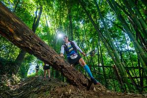 BIB: 
                            <button type="button" onclick="openModal(19054960)" class="btn btn-primary btn-sm float-right btn-popup" data-toggle="modal" data-target=".modal-high-quality">
                        <i class="fas fa-shopping-cart"></i> Add to Cart
                    </button>
                                            <button type="button" onclick="isThisMe(19054960, true)" class="btn btn-success btn-sm float-right btn-popup btn-isme hidden" data-toggle="tooltip" data-placement="bottom" title="นี่คือรูปของคุณใช่ไหม คลิกที่นี่เพื่อเอาเข้าอัลบั้ม">
                        <i class="fas fa-plus"></i> Add to album
                    </button>
                    <button type="button" onclick="isThisMe(19054960, false)" class="btn btn-warning btn-sm float-right btn-popup btn-isnotme hidden">
                        <i class="fas fa-ban"></i> Remove from album
                    </button>