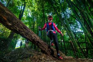 BIB: 
                            <button type="button" onclick="openModal(18998165)" class="btn btn-primary btn-sm float-right btn-popup" data-toggle="modal" data-target=".modal-high-quality">
                        <i class="fas fa-shopping-cart"></i> Add to Cart
                    </button>
                                            <button type="button" onclick="isThisMe(18998165, true)" class="btn btn-success btn-sm float-right btn-popup btn-isme hidden" data-toggle="tooltip" data-placement="bottom" title="นี่คือรูปของคุณใช่ไหม คลิกที่นี่เพื่อเอาเข้าอัลบั้ม">
                        <i class="fas fa-plus"></i> Add to album
                    </button>
                    <button type="button" onclick="isThisMe(18998165, false)" class="btn btn-warning btn-sm float-right btn-popup btn-isnotme hidden">
                        <i class="fas fa-ban"></i> Remove from album
                    </button>