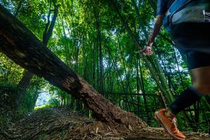 BIB: 
                            <button type="button" onclick="openModal(18998113)" class="btn btn-primary btn-sm float-right btn-popup" data-toggle="modal" data-target=".modal-high-quality">
                        <i class="fas fa-shopping-cart"></i> Add to Cart
                    </button>
                                            <button type="button" onclick="isThisMe(18998113, true)" class="btn btn-success btn-sm float-right btn-popup btn-isme hidden" data-toggle="tooltip" data-placement="bottom" title="นี่คือรูปของคุณใช่ไหม คลิกที่นี่เพื่อเอาเข้าอัลบั้ม">
                        <i class="fas fa-plus"></i> Add to album
                    </button>
                    <button type="button" onclick="isThisMe(18998113, false)" class="btn btn-warning btn-sm float-right btn-popup btn-isnotme hidden">
                        <i class="fas fa-ban"></i> Remove from album
                    </button>