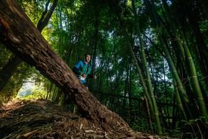 BIB: 
                            <button type="button" onclick="openModal(18986305)" class="btn btn-primary btn-sm float-right btn-popup" data-toggle="modal" data-target=".modal-high-quality">
                        <i class="fas fa-shopping-cart"></i> Add to Cart
                    </button>
                                            <button type="button" onclick="isThisMe(18986305, true)" class="btn btn-success btn-sm float-right btn-popup btn-isme hidden" data-toggle="tooltip" data-placement="bottom" title="นี่คือรูปของคุณใช่ไหม คลิกที่นี่เพื่อเอาเข้าอัลบั้ม">
                        <i class="fas fa-plus"></i> Add to album
                    </button>
                    <button type="button" onclick="isThisMe(18986305, false)" class="btn btn-warning btn-sm float-right btn-popup btn-isnotme hidden">
                        <i class="fas fa-ban"></i> Remove from album
                    </button>