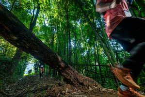 BIB: 
                            <button type="button" onclick="openModal(18999426)" class="btn btn-primary btn-sm float-right btn-popup" data-toggle="modal" data-target=".modal-high-quality">
                        <i class="fas fa-shopping-cart"></i> Add to Cart
                    </button>
                                            <button type="button" onclick="isThisMe(18999426, true)" class="btn btn-success btn-sm float-right btn-popup btn-isme hidden" data-toggle="tooltip" data-placement="bottom" title="นี่คือรูปของคุณใช่ไหม คลิกที่นี่เพื่อเอาเข้าอัลบั้ม">
                        <i class="fas fa-plus"></i> Add to album
                    </button>
                    <button type="button" onclick="isThisMe(18999426, false)" class="btn btn-warning btn-sm float-right btn-popup btn-isnotme hidden">
                        <i class="fas fa-ban"></i> Remove from album
                    </button>