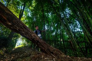 BIB: 
                            <button type="button" onclick="openModal(18988384)" class="btn btn-primary btn-sm float-right btn-popup" data-toggle="modal" data-target=".modal-high-quality">
                        <i class="fas fa-shopping-cart"></i> Add to Cart
                    </button>
                                            <button type="button" onclick="isThisMe(18988384, true)" class="btn btn-success btn-sm float-right btn-popup btn-isme hidden" data-toggle="tooltip" data-placement="bottom" title="นี่คือรูปของคุณใช่ไหม คลิกที่นี่เพื่อเอาเข้าอัลบั้ม">
                        <i class="fas fa-plus"></i> Add to album
                    </button>
                    <button type="button" onclick="isThisMe(18988384, false)" class="btn btn-warning btn-sm float-right btn-popup btn-isnotme hidden">
                        <i class="fas fa-ban"></i> Remove from album
                    </button>