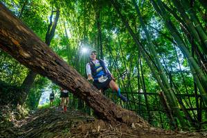 BIB: 
                            <button type="button" onclick="openModal(19054947)" class="btn btn-primary btn-sm float-right btn-popup" data-toggle="modal" data-target=".modal-high-quality">
                        <i class="fas fa-shopping-cart"></i> Add to Cart
                    </button>
                                            <button type="button" onclick="isThisMe(19054947, true)" class="btn btn-success btn-sm float-right btn-popup btn-isme hidden" data-toggle="tooltip" data-placement="bottom" title="นี่คือรูปของคุณใช่ไหม คลิกที่นี่เพื่อเอาเข้าอัลบั้ม">
                        <i class="fas fa-plus"></i> Add to album
                    </button>
                    <button type="button" onclick="isThisMe(19054947, false)" class="btn btn-warning btn-sm float-right btn-popup btn-isnotme hidden">
                        <i class="fas fa-ban"></i> Remove from album
                    </button>