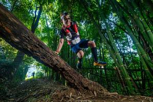 BIB: 
                            <button type="button" onclick="openModal(18989435)" class="btn btn-primary btn-sm float-right btn-popup" data-toggle="modal" data-target=".modal-high-quality">
                        <i class="fas fa-shopping-cart"></i> Add to Cart
                    </button>
                                            <button type="button" onclick="isThisMe(18989435, true)" class="btn btn-success btn-sm float-right btn-popup btn-isme hidden" data-toggle="tooltip" data-placement="bottom" title="นี่คือรูปของคุณใช่ไหม คลิกที่นี่เพื่อเอาเข้าอัลบั้ม">
                        <i class="fas fa-plus"></i> Add to album
                    </button>
                    <button type="button" onclick="isThisMe(18989435, false)" class="btn btn-warning btn-sm float-right btn-popup btn-isnotme hidden">
                        <i class="fas fa-ban"></i> Remove from album
                    </button>