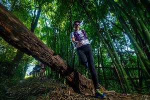 BIB: 
                            <button type="button" onclick="openModal(18998094)" class="btn btn-primary btn-sm float-right btn-popup" data-toggle="modal" data-target=".modal-high-quality">
                        <i class="fas fa-shopping-cart"></i> Add to Cart
                    </button>
                                            <button type="button" onclick="isThisMe(18998094, true)" class="btn btn-success btn-sm float-right btn-popup btn-isme hidden" data-toggle="tooltip" data-placement="bottom" title="นี่คือรูปของคุณใช่ไหม คลิกที่นี่เพื่อเอาเข้าอัลบั้ม">
                        <i class="fas fa-plus"></i> Add to album
                    </button>
                    <button type="button" onclick="isThisMe(18998094, false)" class="btn btn-warning btn-sm float-right btn-popup btn-isnotme hidden">
                        <i class="fas fa-ban"></i> Remove from album
                    </button>