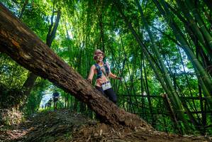 BIB: 
                            <button type="button" onclick="openModal(19001988)" class="btn btn-primary btn-sm float-right btn-popup" data-toggle="modal" data-target=".modal-high-quality">
                        <i class="fas fa-shopping-cart"></i> Add to Cart
                    </button>
                                            <button type="button" onclick="isThisMe(19001988, true)" class="btn btn-success btn-sm float-right btn-popup btn-isme hidden" data-toggle="tooltip" data-placement="bottom" title="นี่คือรูปของคุณใช่ไหม คลิกที่นี่เพื่อเอาเข้าอัลบั้ม">
                        <i class="fas fa-plus"></i> Add to album
                    </button>
                    <button type="button" onclick="isThisMe(19001988, false)" class="btn btn-warning btn-sm float-right btn-popup btn-isnotme hidden">
                        <i class="fas fa-ban"></i> Remove from album
                    </button>