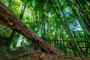 BIB: 
                            <button type="button" onclick="openModal(19059004)" class="btn btn-primary btn-sm float-right btn-popup" data-toggle="modal" data-target=".modal-high-quality">
                        <i class="fas fa-shopping-cart"></i> Add to Cart
                    </button>
                                            <button type="button" onclick="isThisMe(19059004, true)" class="btn btn-success btn-sm float-right btn-popup btn-isme hidden" data-toggle="tooltip" data-placement="bottom" title="นี่คือรูปของคุณใช่ไหม คลิกที่นี่เพื่อเอาเข้าอัลบั้ม">
                        <i class="fas fa-plus"></i> Add to album
                    </button>
                    <button type="button" onclick="isThisMe(19059004, false)" class="btn btn-warning btn-sm float-right btn-popup btn-isnotme hidden">
                        <i class="fas fa-ban"></i> Remove from album
                    </button>