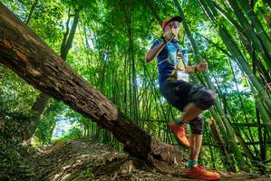 BIB: 2141
                            <button type="button" onclick="openModal(19071294)" class="btn btn-primary btn-sm float-right btn-popup" data-toggle="modal" data-target=".modal-high-quality">
                        <i class="fas fa-shopping-cart"></i> Add to Cart
                    </button>
                                            <button type="button" onclick="isThisMe(19071294, true)" class="btn btn-success btn-sm float-right btn-popup btn-isme hidden" data-toggle="tooltip" data-placement="bottom" title="นี่คือรูปของคุณใช่ไหม คลิกที่นี่เพื่อเอาเข้าอัลบั้ม">
                        <i class="fas fa-plus"></i> Add to album
                    </button>
                    <button type="button" onclick="isThisMe(19071294, false)" class="btn btn-warning btn-sm float-right btn-popup btn-isnotme hidden">
                        <i class="fas fa-ban"></i> Remove from album
                    </button>