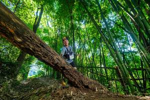 BIB: 
                            <button type="button" onclick="openModal(19062177)" class="btn btn-primary btn-sm float-right btn-popup" data-toggle="modal" data-target=".modal-high-quality">
                        <i class="fas fa-shopping-cart"></i> Add to Cart
                    </button>
                                            <button type="button" onclick="isThisMe(19062177, true)" class="btn btn-success btn-sm float-right btn-popup btn-isme hidden" data-toggle="tooltip" data-placement="bottom" title="นี่คือรูปของคุณใช่ไหม คลิกที่นี่เพื่อเอาเข้าอัลบั้ม">
                        <i class="fas fa-plus"></i> Add to album
                    </button>
                    <button type="button" onclick="isThisMe(19062177, false)" class="btn btn-warning btn-sm float-right btn-popup btn-isnotme hidden">
                        <i class="fas fa-ban"></i> Remove from album
                    </button>