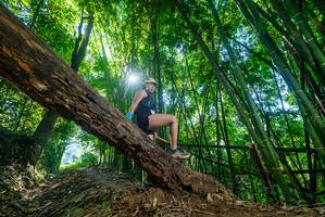 BIB: 
                            <button type="button" onclick="openModal(19055002)" class="btn btn-primary btn-sm float-right btn-popup" data-toggle="modal" data-target=".modal-high-quality">
                        <i class="fas fa-shopping-cart"></i> Add to Cart
                    </button>
                                            <button type="button" onclick="isThisMe(19055002, true)" class="btn btn-success btn-sm float-right btn-popup btn-isme hidden" data-toggle="tooltip" data-placement="bottom" title="นี่คือรูปของคุณใช่ไหม คลิกที่นี่เพื่อเอาเข้าอัลบั้ม">
                        <i class="fas fa-plus"></i> Add to album
                    </button>
                    <button type="button" onclick="isThisMe(19055002, false)" class="btn btn-warning btn-sm float-right btn-popup btn-isnotme hidden">
                        <i class="fas fa-ban"></i> Remove from album
                    </button>