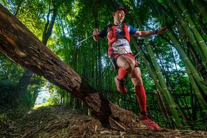 BIB: 2002
                            <button type="button" onclick="openModal(18988056)" class="btn btn-primary btn-sm float-right btn-popup" data-toggle="modal" data-target=".modal-high-quality">
                        <i class="fas fa-shopping-cart"></i> Add to Cart
                    </button>
                                            <button type="button" onclick="isThisMe(18988056, true)" class="btn btn-success btn-sm float-right btn-popup btn-isme hidden" data-toggle="tooltip" data-placement="bottom" title="นี่คือรูปของคุณใช่ไหม คลิกที่นี่เพื่อเอาเข้าอัลบั้ม">
                        <i class="fas fa-plus"></i> Add to album
                    </button>
                    <button type="button" onclick="isThisMe(18988056, false)" class="btn btn-warning btn-sm float-right btn-popup btn-isnotme hidden">
                        <i class="fas fa-ban"></i> Remove from album
                    </button>