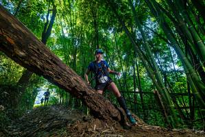 BIB: 
                            <button type="button" onclick="openModal(18992394)" class="btn btn-primary btn-sm float-right btn-popup" data-toggle="modal" data-target=".modal-high-quality">
                        <i class="fas fa-shopping-cart"></i> Add to Cart
                    </button>
                                            <button type="button" onclick="isThisMe(18992394, true)" class="btn btn-success btn-sm float-right btn-popup btn-isme hidden" data-toggle="tooltip" data-placement="bottom" title="นี่คือรูปของคุณใช่ไหม คลิกที่นี่เพื่อเอาเข้าอัลบั้ม">
                        <i class="fas fa-plus"></i> Add to album
                    </button>
                    <button type="button" onclick="isThisMe(18992394, false)" class="btn btn-warning btn-sm float-right btn-popup btn-isnotme hidden">
                        <i class="fas fa-ban"></i> Remove from album
                    </button>