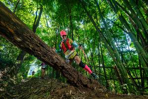 BIB: 
                            <button type="button" onclick="openModal(19065195)" class="btn btn-primary btn-sm float-right btn-popup" data-toggle="modal" data-target=".modal-high-quality">
                        <i class="fas fa-shopping-cart"></i> Add to Cart
                    </button>
                                            <button type="button" onclick="isThisMe(19065195, true)" class="btn btn-success btn-sm float-right btn-popup btn-isme hidden" data-toggle="tooltip" data-placement="bottom" title="นี่คือรูปของคุณใช่ไหม คลิกที่นี่เพื่อเอาเข้าอัลบั้ม">
                        <i class="fas fa-plus"></i> Add to album
                    </button>
                    <button type="button" onclick="isThisMe(19065195, false)" class="btn btn-warning btn-sm float-right btn-popup btn-isnotme hidden">
                        <i class="fas fa-ban"></i> Remove from album
                    </button>