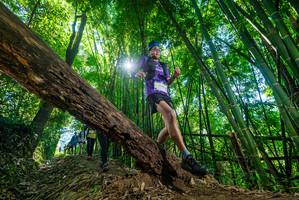 BIB: 
                            <button type="button" onclick="openModal(19057336)" class="btn btn-primary btn-sm float-right btn-popup" data-toggle="modal" data-target=".modal-high-quality">
                        <i class="fas fa-shopping-cart"></i> Add to Cart
                    </button>
                                            <button type="button" onclick="isThisMe(19057336, true)" class="btn btn-success btn-sm float-right btn-popup btn-isme hidden" data-toggle="tooltip" data-placement="bottom" title="นี่คือรูปของคุณใช่ไหม คลิกที่นี่เพื่อเอาเข้าอัลบั้ม">
                        <i class="fas fa-plus"></i> Add to album
                    </button>
                    <button type="button" onclick="isThisMe(19057336, false)" class="btn btn-warning btn-sm float-right btn-popup btn-isnotme hidden">
                        <i class="fas fa-ban"></i> Remove from album
                    </button>