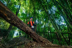 BIB: 
                            <button type="button" onclick="openModal(18995708)" class="btn btn-primary btn-sm float-right btn-popup" data-toggle="modal" data-target=".modal-high-quality">
                        <i class="fas fa-shopping-cart"></i> Add to Cart
                    </button>
                                            <button type="button" onclick="isThisMe(18995708, true)" class="btn btn-success btn-sm float-right btn-popup btn-isme hidden" data-toggle="tooltip" data-placement="bottom" title="นี่คือรูปของคุณใช่ไหม คลิกที่นี่เพื่อเอาเข้าอัลบั้ม">
                        <i class="fas fa-plus"></i> Add to album
                    </button>
                    <button type="button" onclick="isThisMe(18995708, false)" class="btn btn-warning btn-sm float-right btn-popup btn-isnotme hidden">
                        <i class="fas fa-ban"></i> Remove from album
                    </button>