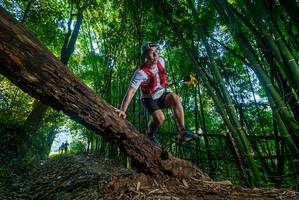 BIB: 
                            <button type="button" onclick="openModal(18993315)" class="btn btn-primary btn-sm float-right btn-popup" data-toggle="modal" data-target=".modal-high-quality">
                        <i class="fas fa-shopping-cart"></i> Add to Cart
                    </button>
                                            <button type="button" onclick="isThisMe(18993315, true)" class="btn btn-success btn-sm float-right btn-popup btn-isme hidden" data-toggle="tooltip" data-placement="bottom" title="นี่คือรูปของคุณใช่ไหม คลิกที่นี่เพื่อเอาเข้าอัลบั้ม">
                        <i class="fas fa-plus"></i> Add to album
                    </button>
                    <button type="button" onclick="isThisMe(18993315, false)" class="btn btn-warning btn-sm float-right btn-popup btn-isnotme hidden">
                        <i class="fas fa-ban"></i> Remove from album
                    </button>