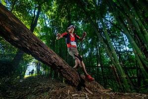 BIB: 
                            <button type="button" onclick="openModal(18991331)" class="btn btn-primary btn-sm float-right btn-popup" data-toggle="modal" data-target=".modal-high-quality">
                        <i class="fas fa-shopping-cart"></i> Add to Cart
                    </button>
                                            <button type="button" onclick="isThisMe(18991331, true)" class="btn btn-success btn-sm float-right btn-popup btn-isme hidden" data-toggle="tooltip" data-placement="bottom" title="นี่คือรูปของคุณใช่ไหม คลิกที่นี่เพื่อเอาเข้าอัลบั้ม">
                        <i class="fas fa-plus"></i> Add to album
                    </button>
                    <button type="button" onclick="isThisMe(18991331, false)" class="btn btn-warning btn-sm float-right btn-popup btn-isnotme hidden">
                        <i class="fas fa-ban"></i> Remove from album
                    </button>