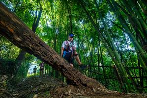 BIB: 
                            <button type="button" onclick="openModal(18996465)" class="btn btn-primary btn-sm float-right btn-popup" data-toggle="modal" data-target=".modal-high-quality">
                        <i class="fas fa-shopping-cart"></i> Add to Cart
                    </button>
                                            <button type="button" onclick="isThisMe(18996465, true)" class="btn btn-success btn-sm float-right btn-popup btn-isme hidden" data-toggle="tooltip" data-placement="bottom" title="นี่คือรูปของคุณใช่ไหม คลิกที่นี่เพื่อเอาเข้าอัลบั้ม">
                        <i class="fas fa-plus"></i> Add to album
                    </button>
                    <button type="button" onclick="isThisMe(18996465, false)" class="btn btn-warning btn-sm float-right btn-popup btn-isnotme hidden">
                        <i class="fas fa-ban"></i> Remove from album
                    </button>