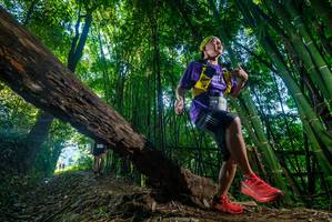 BIB: 
                            <button type="button" onclick="openModal(18990622)" class="btn btn-primary btn-sm float-right btn-popup" data-toggle="modal" data-target=".modal-high-quality">
                        <i class="fas fa-shopping-cart"></i> Add to Cart
                    </button>
                                            <button type="button" onclick="isThisMe(18990622, true)" class="btn btn-success btn-sm float-right btn-popup btn-isme hidden" data-toggle="tooltip" data-placement="bottom" title="นี่คือรูปของคุณใช่ไหม คลิกที่นี่เพื่อเอาเข้าอัลบั้ม">
                        <i class="fas fa-plus"></i> Add to album
                    </button>
                    <button type="button" onclick="isThisMe(18990622, false)" class="btn btn-warning btn-sm float-right btn-popup btn-isnotme hidden">
                        <i class="fas fa-ban"></i> Remove from album
                    </button>