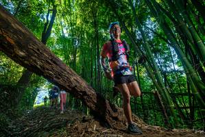 BIB: 
                            <button type="button" onclick="openModal(19000503)" class="btn btn-primary btn-sm float-right btn-popup" data-toggle="modal" data-target=".modal-high-quality">
                        <i class="fas fa-shopping-cart"></i> Add to Cart
                    </button>
                                            <button type="button" onclick="isThisMe(19000503, true)" class="btn btn-success btn-sm float-right btn-popup btn-isme hidden" data-toggle="tooltip" data-placement="bottom" title="นี่คือรูปของคุณใช่ไหม คลิกที่นี่เพื่อเอาเข้าอัลบั้ม">
                        <i class="fas fa-plus"></i> Add to album
                    </button>
                    <button type="button" onclick="isThisMe(19000503, false)" class="btn btn-warning btn-sm float-right btn-popup btn-isnotme hidden">
                        <i class="fas fa-ban"></i> Remove from album
                    </button>