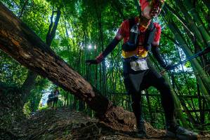 BIB: 
                            <button type="button" onclick="openModal(19056535)" class="btn btn-primary btn-sm float-right btn-popup" data-toggle="modal" data-target=".modal-high-quality">
                        <i class="fas fa-shopping-cart"></i> Add to Cart
                    </button>
                                            <button type="button" onclick="isThisMe(19056535, true)" class="btn btn-success btn-sm float-right btn-popup btn-isme hidden" data-toggle="tooltip" data-placement="bottom" title="นี่คือรูปของคุณใช่ไหม คลิกที่นี่เพื่อเอาเข้าอัลบั้ม">
                        <i class="fas fa-plus"></i> Add to album
                    </button>
                    <button type="button" onclick="isThisMe(19056535, false)" class="btn btn-warning btn-sm float-right btn-popup btn-isnotme hidden">
                        <i class="fas fa-ban"></i> Remove from album
                    </button>