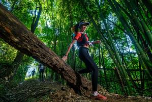 BIB: 
                            <button type="button" onclick="openModal(18994775)" class="btn btn-primary btn-sm float-right btn-popup" data-toggle="modal" data-target=".modal-high-quality">
                        <i class="fas fa-shopping-cart"></i> Add to Cart
                    </button>
                                            <button type="button" onclick="isThisMe(18994775, true)" class="btn btn-success btn-sm float-right btn-popup btn-isme hidden" data-toggle="tooltip" data-placement="bottom" title="นี่คือรูปของคุณใช่ไหม คลิกที่นี่เพื่อเอาเข้าอัลบั้ม">
                        <i class="fas fa-plus"></i> Add to album
                    </button>
                    <button type="button" onclick="isThisMe(18994775, false)" class="btn btn-warning btn-sm float-right btn-popup btn-isnotme hidden">
                        <i class="fas fa-ban"></i> Remove from album
                    </button>