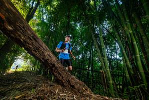 BIB: 
                            <button type="button" onclick="openModal(18986774)" class="btn btn-primary btn-sm float-right btn-popup" data-toggle="modal" data-target=".modal-high-quality">
                        <i class="fas fa-shopping-cart"></i> Add to Cart
                    </button>
                                            <button type="button" onclick="isThisMe(18986774, true)" class="btn btn-success btn-sm float-right btn-popup btn-isme hidden" data-toggle="tooltip" data-placement="bottom" title="นี่คือรูปของคุณใช่ไหม คลิกที่นี่เพื่อเอาเข้าอัลบั้ม">
                        <i class="fas fa-plus"></i> Add to album
                    </button>
                    <button type="button" onclick="isThisMe(18986774, false)" class="btn btn-warning btn-sm float-right btn-popup btn-isnotme hidden">
                        <i class="fas fa-ban"></i> Remove from album
                    </button>