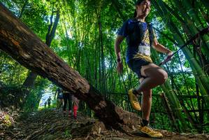 BIB: 2436
                            <button type="button" onclick="openModal(18999285)" class="btn btn-primary btn-sm float-right btn-popup" data-toggle="modal" data-target=".modal-high-quality">
                        <i class="fas fa-shopping-cart"></i> Add to Cart
                    </button>
                                            <button type="button" onclick="isThisMe(18999285, true)" class="btn btn-success btn-sm float-right btn-popup btn-isme hidden" data-toggle="tooltip" data-placement="bottom" title="นี่คือรูปของคุณใช่ไหม คลิกที่นี่เพื่อเอาเข้าอัลบั้ม">
                        <i class="fas fa-plus"></i> Add to album
                    </button>
                    <button type="button" onclick="isThisMe(18999285, false)" class="btn btn-warning btn-sm float-right btn-popup btn-isnotme hidden">
                        <i class="fas fa-ban"></i> Remove from album
                    </button>