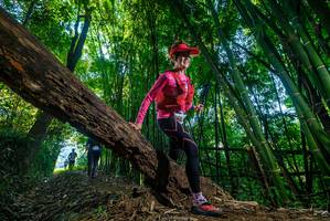 BIB: 
                            <button type="button" onclick="openModal(18998538)" class="btn btn-primary btn-sm float-right btn-popup" data-toggle="modal" data-target=".modal-high-quality">
                        <i class="fas fa-shopping-cart"></i> Add to Cart
                    </button>
                                            <button type="button" onclick="isThisMe(18998538, true)" class="btn btn-success btn-sm float-right btn-popup btn-isme hidden" data-toggle="tooltip" data-placement="bottom" title="นี่คือรูปของคุณใช่ไหม คลิกที่นี่เพื่อเอาเข้าอัลบั้ม">
                        <i class="fas fa-plus"></i> Add to album
                    </button>
                    <button type="button" onclick="isThisMe(18998538, false)" class="btn btn-warning btn-sm float-right btn-popup btn-isnotme hidden">
                        <i class="fas fa-ban"></i> Remove from album
                    </button>