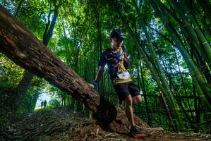 BIB: 
                            <button type="button" onclick="openModal(18995186)" class="btn btn-primary btn-sm float-right btn-popup" data-toggle="modal" data-target=".modal-high-quality">
                        <i class="fas fa-shopping-cart"></i> Add to Cart
                    </button>
                                            <button type="button" onclick="isThisMe(18995186, true)" class="btn btn-success btn-sm float-right btn-popup btn-isme hidden" data-toggle="tooltip" data-placement="bottom" title="นี่คือรูปของคุณใช่ไหม คลิกที่นี่เพื่อเอาเข้าอัลบั้ม">
                        <i class="fas fa-plus"></i> Add to album
                    </button>
                    <button type="button" onclick="isThisMe(18995186, false)" class="btn btn-warning btn-sm float-right btn-popup btn-isnotme hidden">
                        <i class="fas fa-ban"></i> Remove from album
                    </button>