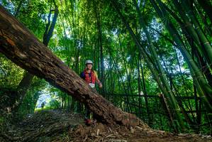 BIB: 
                            <button type="button" onclick="openModal(18994595)" class="btn btn-primary btn-sm float-right btn-popup" data-toggle="modal" data-target=".modal-high-quality">
                        <i class="fas fa-shopping-cart"></i> Add to Cart
                    </button>
                                            <button type="button" onclick="isThisMe(18994595, true)" class="btn btn-success btn-sm float-right btn-popup btn-isme hidden" data-toggle="tooltip" data-placement="bottom" title="นี่คือรูปของคุณใช่ไหม คลิกที่นี่เพื่อเอาเข้าอัลบั้ม">
                        <i class="fas fa-plus"></i> Add to album
                    </button>
                    <button type="button" onclick="isThisMe(18994595, false)" class="btn btn-warning btn-sm float-right btn-popup btn-isnotme hidden">
                        <i class="fas fa-ban"></i> Remove from album
                    </button>