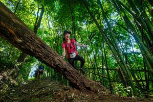 BIB: 
                            <button type="button" onclick="openModal(19065646)" class="btn btn-primary btn-sm float-right btn-popup" data-toggle="modal" data-target=".modal-high-quality">
                        <i class="fas fa-shopping-cart"></i> Add to Cart
                    </button>
                                            <button type="button" onclick="isThisMe(19065646, true)" class="btn btn-success btn-sm float-right btn-popup btn-isme hidden" data-toggle="tooltip" data-placement="bottom" title="นี่คือรูปของคุณใช่ไหม คลิกที่นี่เพื่อเอาเข้าอัลบั้ม">
                        <i class="fas fa-plus"></i> Add to album
                    </button>
                    <button type="button" onclick="isThisMe(19065646, false)" class="btn btn-warning btn-sm float-right btn-popup btn-isnotme hidden">
                        <i class="fas fa-ban"></i> Remove from album
                    </button>