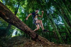 BIB: 
                            <button type="button" onclick="openModal(18993137)" class="btn btn-primary btn-sm float-right btn-popup" data-toggle="modal" data-target=".modal-high-quality">
                        <i class="fas fa-shopping-cart"></i> Add to Cart
                    </button>
                                            <button type="button" onclick="isThisMe(18993137, true)" class="btn btn-success btn-sm float-right btn-popup btn-isme hidden" data-toggle="tooltip" data-placement="bottom" title="นี่คือรูปของคุณใช่ไหม คลิกที่นี่เพื่อเอาเข้าอัลบั้ม">
                        <i class="fas fa-plus"></i> Add to album
                    </button>
                    <button type="button" onclick="isThisMe(18993137, false)" class="btn btn-warning btn-sm float-right btn-popup btn-isnotme hidden">
                        <i class="fas fa-ban"></i> Remove from album
                    </button>