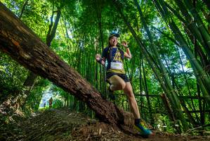 BIB: 2529
                            <button type="button" onclick="openModal(19066342)" class="btn btn-primary btn-sm float-right btn-popup" data-toggle="modal" data-target=".modal-high-quality">
                        <i class="fas fa-shopping-cart"></i> Add to Cart
                    </button>
                                            <button type="button" onclick="isThisMe(19066342, true)" class="btn btn-success btn-sm float-right btn-popup btn-isme hidden" data-toggle="tooltip" data-placement="bottom" title="นี่คือรูปของคุณใช่ไหม คลิกที่นี่เพื่อเอาเข้าอัลบั้ม">
                        <i class="fas fa-plus"></i> Add to album
                    </button>
                    <button type="button" onclick="isThisMe(19066342, false)" class="btn btn-warning btn-sm float-right btn-popup btn-isnotme hidden">
                        <i class="fas fa-ban"></i> Remove from album
                    </button>