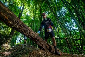 BIB: 5593, 
                            <button type="button" onclick="openModal(19002447)" class="btn btn-primary btn-sm float-right btn-popup" data-toggle="modal" data-target=".modal-high-quality">
                        <i class="fas fa-shopping-cart"></i> Add to Cart
                    </button>
                                            <button type="button" onclick="isThisMe(19002447, true)" class="btn btn-success btn-sm float-right btn-popup btn-isme hidden" data-toggle="tooltip" data-placement="bottom" title="นี่คือรูปของคุณใช่ไหม คลิกที่นี่เพื่อเอาเข้าอัลบั้ม">
                        <i class="fas fa-plus"></i> Add to album
                    </button>
                    <button type="button" onclick="isThisMe(19002447, false)" class="btn btn-warning btn-sm float-right btn-popup btn-isnotme hidden">
                        <i class="fas fa-ban"></i> Remove from album
                    </button>