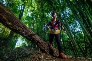 BIB: 2117
                            <button type="button" onclick="openModal(18997976)" class="btn btn-primary btn-sm float-right btn-popup" data-toggle="modal" data-target=".modal-high-quality">
                        <i class="fas fa-shopping-cart"></i> Add to Cart
                    </button>
                                            <button type="button" onclick="isThisMe(18997976, true)" class="btn btn-success btn-sm float-right btn-popup btn-isme hidden" data-toggle="tooltip" data-placement="bottom" title="นี่คือรูปของคุณใช่ไหม คลิกที่นี่เพื่อเอาเข้าอัลบั้ม">
                        <i class="fas fa-plus"></i> Add to album
                    </button>
                    <button type="button" onclick="isThisMe(18997976, false)" class="btn btn-warning btn-sm float-right btn-popup btn-isnotme hidden">
                        <i class="fas fa-ban"></i> Remove from album
                    </button>