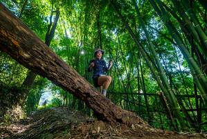 BIB: 
                            <button type="button" onclick="openModal(19002714)" class="btn btn-primary btn-sm float-right btn-popup" data-toggle="modal" data-target=".modal-high-quality">
                        <i class="fas fa-shopping-cart"></i> Add to Cart
                    </button>
                                            <button type="button" onclick="isThisMe(19002714, true)" class="btn btn-success btn-sm float-right btn-popup btn-isme hidden" data-toggle="tooltip" data-placement="bottom" title="นี่คือรูปของคุณใช่ไหม คลิกที่นี่เพื่อเอาเข้าอัลบั้ม">
                        <i class="fas fa-plus"></i> Add to album
                    </button>
                    <button type="button" onclick="isThisMe(19002714, false)" class="btn btn-warning btn-sm float-right btn-popup btn-isnotme hidden">
                        <i class="fas fa-ban"></i> Remove from album
                    </button>