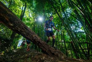 BIB: 
                            <button type="button" onclick="openModal(19064046)" class="btn btn-primary btn-sm float-right btn-popup" data-toggle="modal" data-target=".modal-high-quality">
                        <i class="fas fa-shopping-cart"></i> Add to Cart
                    </button>
                                            <button type="button" onclick="isThisMe(19064046, true)" class="btn btn-success btn-sm float-right btn-popup btn-isme hidden" data-toggle="tooltip" data-placement="bottom" title="นี่คือรูปของคุณใช่ไหม คลิกที่นี่เพื่อเอาเข้าอัลบั้ม">
                        <i class="fas fa-plus"></i> Add to album
                    </button>
                    <button type="button" onclick="isThisMe(19064046, false)" class="btn btn-warning btn-sm float-right btn-popup btn-isnotme hidden">
                        <i class="fas fa-ban"></i> Remove from album
                    </button>